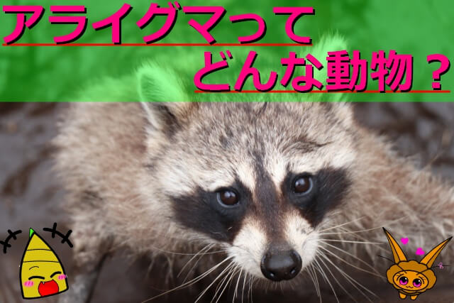 Thumbnail of post image 033